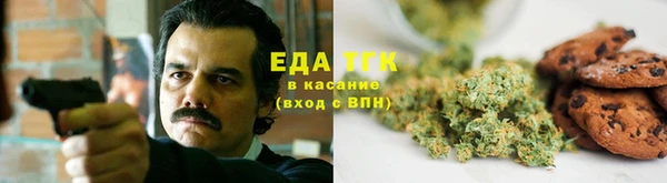 apvp Алексин