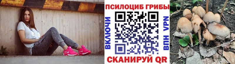 Галлюциногенные грибы мухоморы  Купить закладки  Вихоревка 