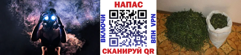 Купить где  Вихоревка  Марихуана ГИДРОПОН 